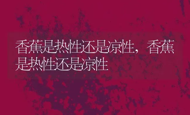 香蕉是热性还是凉性,香蕉是热性还是凉性 | 养殖常见问题