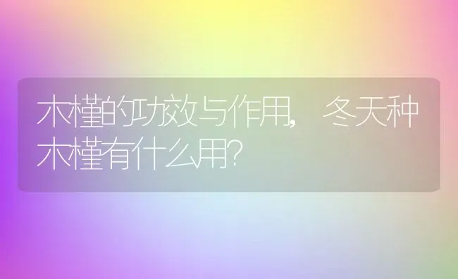 木槿的功效与作用,冬天种木槿有什么用？ | 养殖常见问题