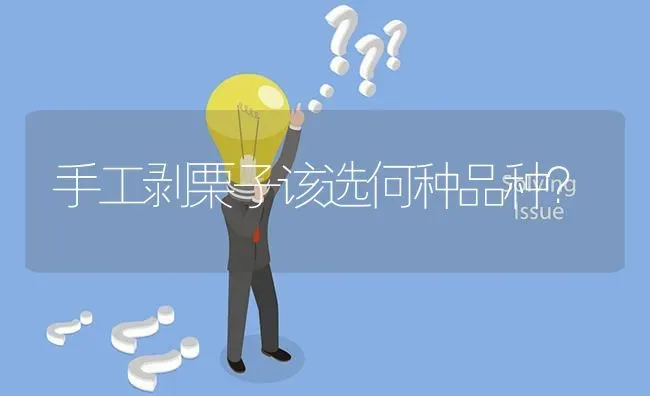 手工剥栗子该选何种品种? | 养殖问题解答