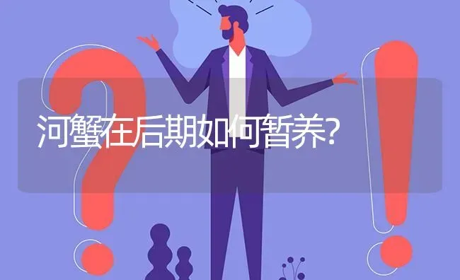 河蟹在后期如何暂养? | 养殖问题解答