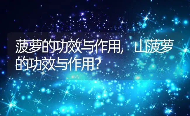 菠萝的功效与作用,山菠萝的功效与作用？ | 养殖常见问题
