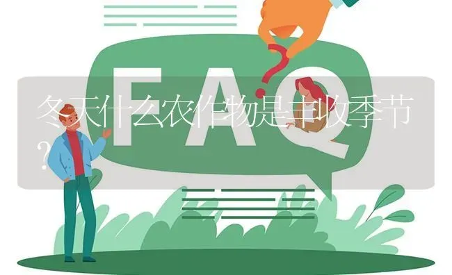 冬天什么农作物是丰收季节? | 养殖问题解答