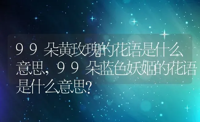 99朵黄玫瑰的花语是什么意思,99朵蓝色妖姬的花语是什么意思？ | 养殖常见问题