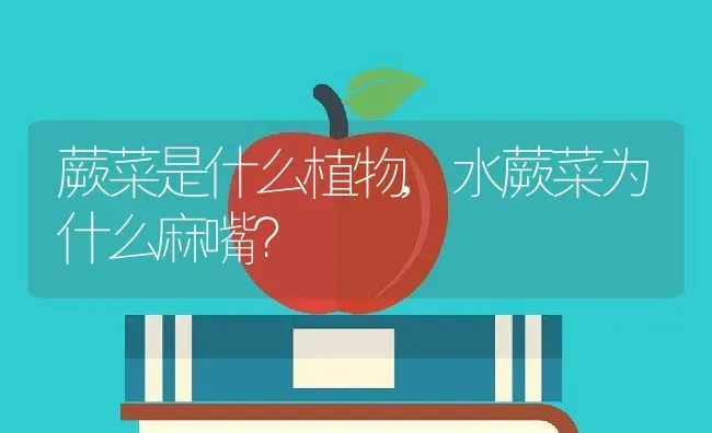 蕨菜是什么植物,水蕨菜为什么麻嘴？ | 养殖常见问题