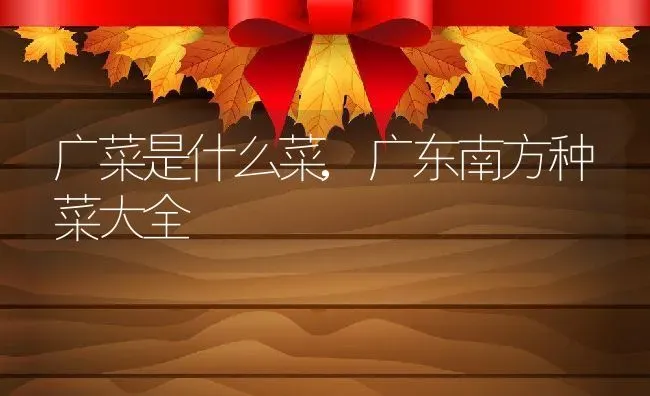 广菜是什么菜,广东南方种菜大全 | 养殖常见问题