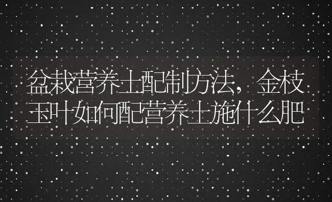 盆栽营养土配制方法,金枝玉叶如何配营养土施什么肥 | 养殖常见问题