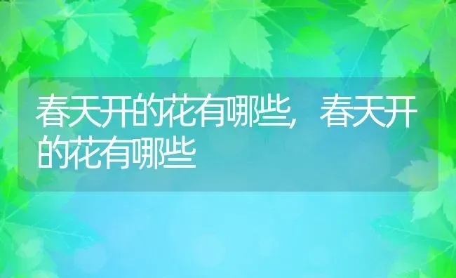 春天开的花有哪些,春天开的花有哪些 | 养殖常见问题