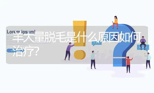 羊大量脱毛是什么原因如何治疗? | 养殖问题解答