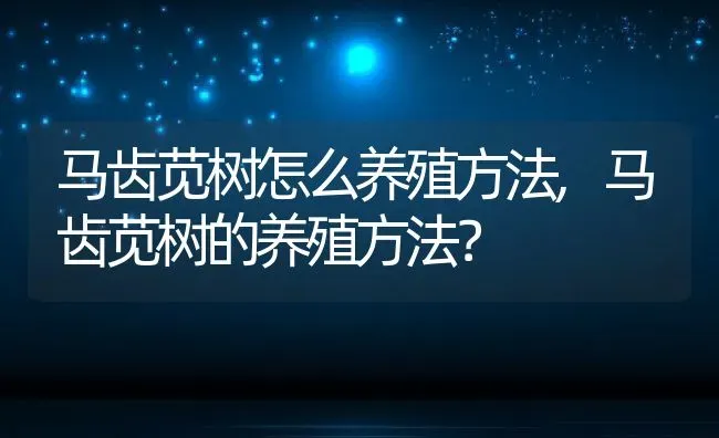 马齿苋树怎么养殖方法,马齿苋树的养殖方法？ | 养殖常见问题