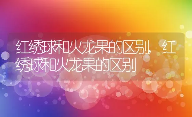 香橼的功效与作用,香橼多久能成熟？ | 养殖常见问题