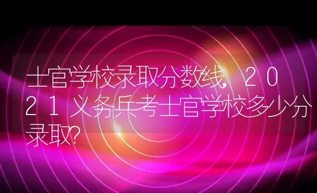 士官学校录取分数线,2021义务兵考士官学校多少分录取？ | 养殖常见问题