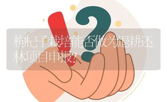 枸杞子栽培能否做为退耕还林项目申报? | 养殖问题解答