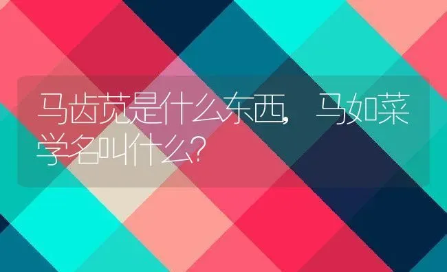 马齿苋是什么东西,马如菜学名叫什么？ | 养殖常见问题