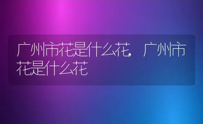 广州市花是什么花,广州市花是什么花 | 养殖常见问题