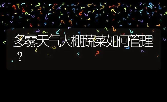 多雾天气大棚蔬菜如何管理? | 养殖问题解答