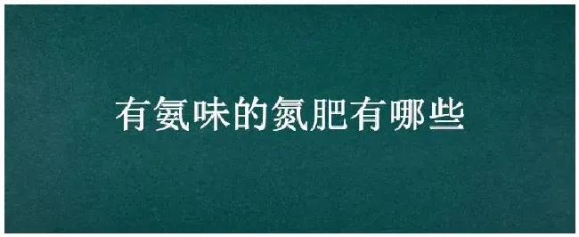 有氨味的氮肥有哪些 | 农业常识