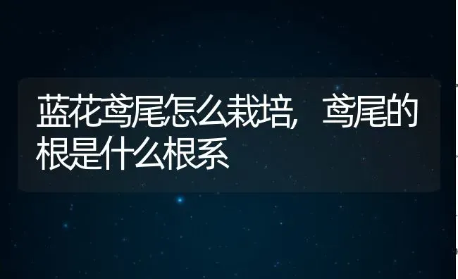 蓝花鸢尾怎么栽培,鸢尾的根是什么根系 | 养殖常见问题