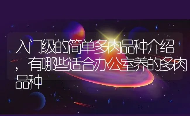 吸财树多肉怎么养成老桩,吸财树能用纯颗粒养吗？ | 养殖常见问题