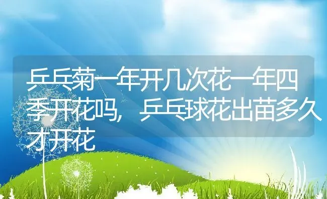 罗布麻的功效与作用,罗布麻的功效与作用 | 养殖常见问题