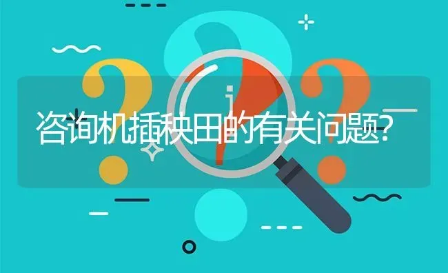 咨询机插秧田的有关问题? | 养殖问题解答