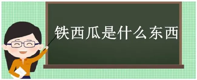 铁西瓜是什么东西 | 生活常识