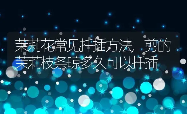 茉莉花常见扦插方法,剪的茉莉枝条晾多久可以扦插 | 养殖常见问题