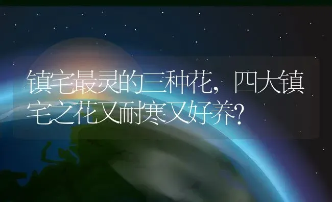 镇宅最灵的三种花,四大镇宅之花又耐寒又好养？ | 养殖常见问题