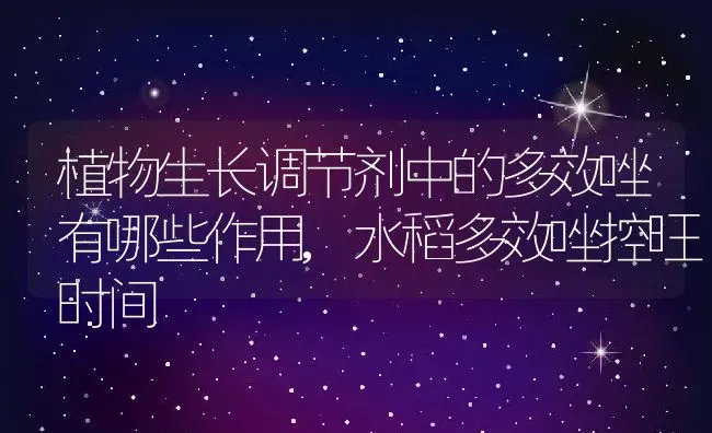 植物生长调节剂中的多效唑有哪些作用,水稻多效唑控旺时间 | 养殖常见问题