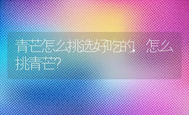 青芒怎么挑选好吃的,怎么挑青芒？ | 养殖常见问题