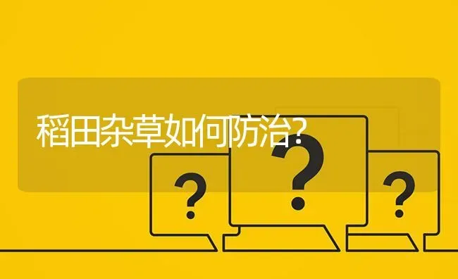 稻田杂草如何防治? | 养殖问题解答