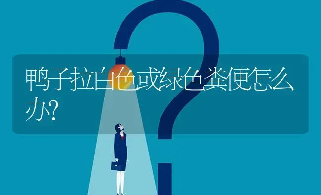 鸭子拉白色或绿色粪便怎么办? | 养殖问题解答