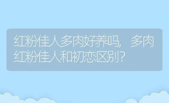 红粉佳人多肉好养吗,多肉红粉佳人和初恋区别？ | 养殖常见问题