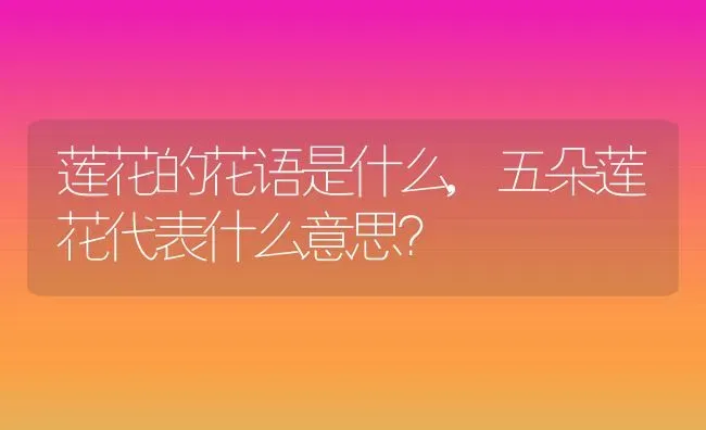 莲花的花语是什么,五朵莲花代表什么意思？ | 养殖常见问题
