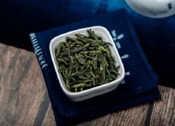 植物常识问题|绿茶的品种