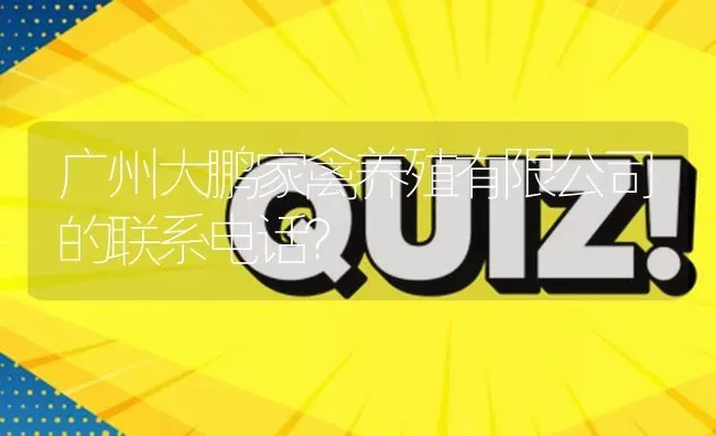 广州大鹏家禽养殖有限公司的联系电话? | 养殖问题解答