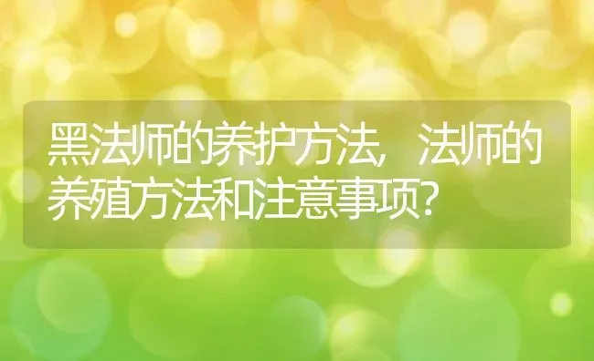 黑法师的养护方法,法师的养殖方法和注意事项？ | 养殖常见问题