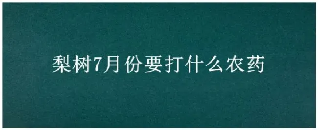 梨树7月份要打什么农药 | 农业答疑