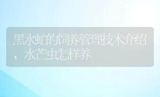 黑水虻的饲养管理技术介绍,水芒虫怎样养 | 养殖常见问题