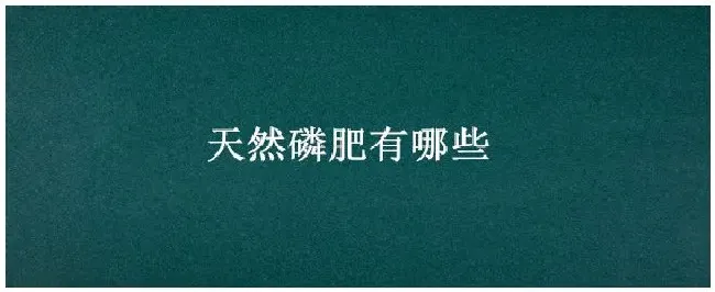 天然磷肥有哪些 | 科普知识