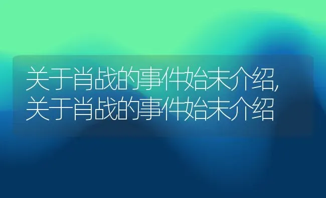 关于肖战的事件始末介绍,关于肖战的事件始末介绍 | 养殖常见问题