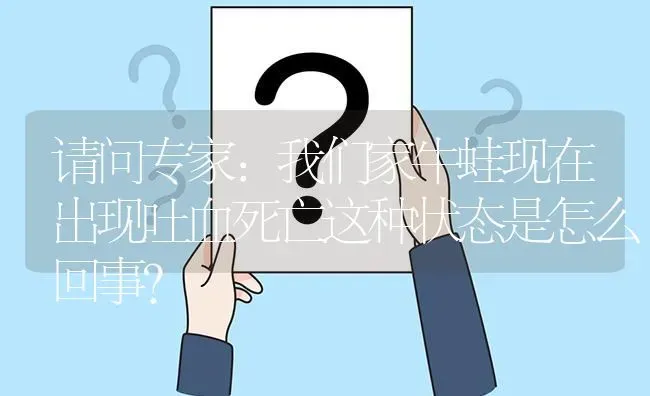 请问专家:我们家牛蛙现在出现吐血死亡这种状态是怎么回事? | 养殖问题解答