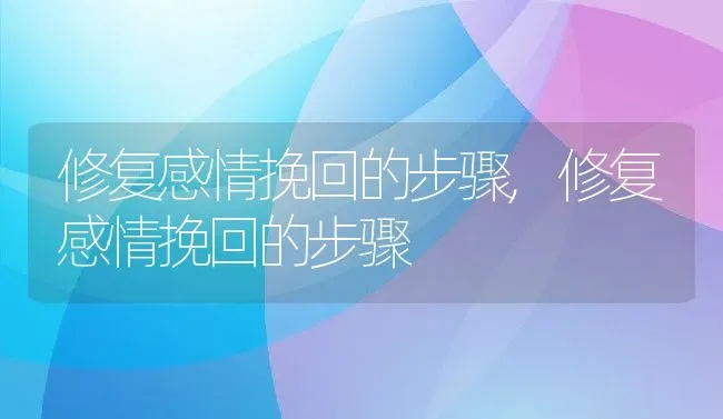 修复感情挽回的步骤,修复感情挽回的步骤 | 养殖常见问题