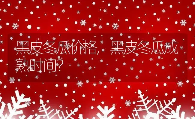 黑皮冬瓜价格,黑皮冬瓜成熟时间？ | 养殖常见问题