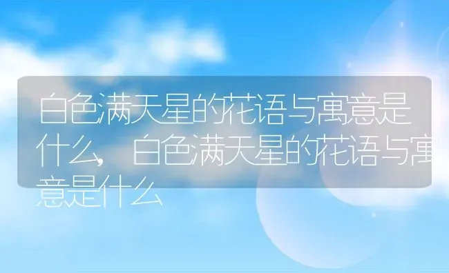 白色满天星的花语与寓意是什么,白色满天星的花语与寓意是什么 | 养殖常见问题