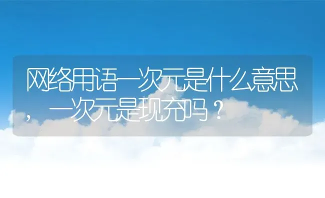 网络用语一次元是什么意思,一次元是现充吗？ | 养殖常见问题