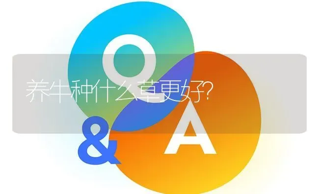养牛种什么草更好? | 养殖问题解答
