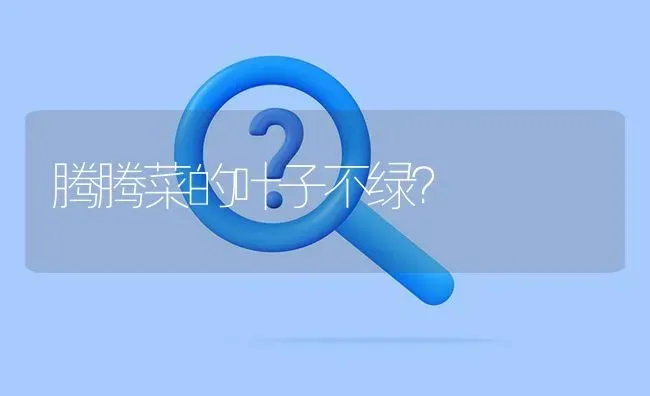 腾腾菜的叶子不绿? | 养殖问题解答