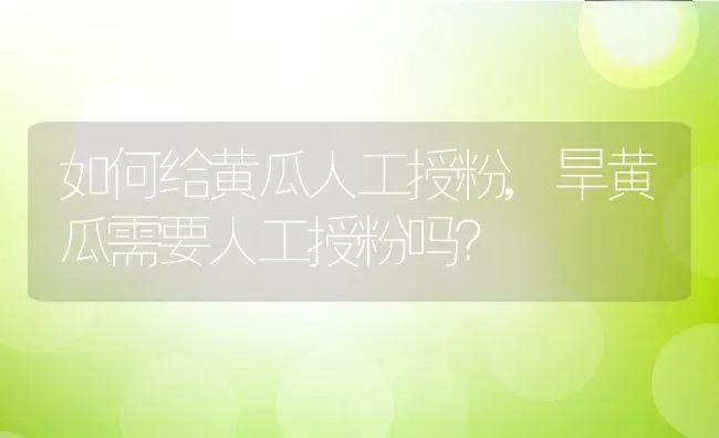 如何给黄瓜人工授粉,旱黄瓜需要人工授粉吗？ | 养殖常见问题