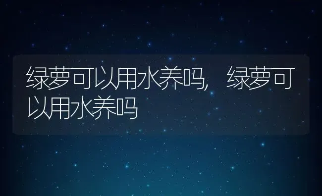 绿萝可以用水养吗,绿萝可以用水养吗 | 养殖常见问题