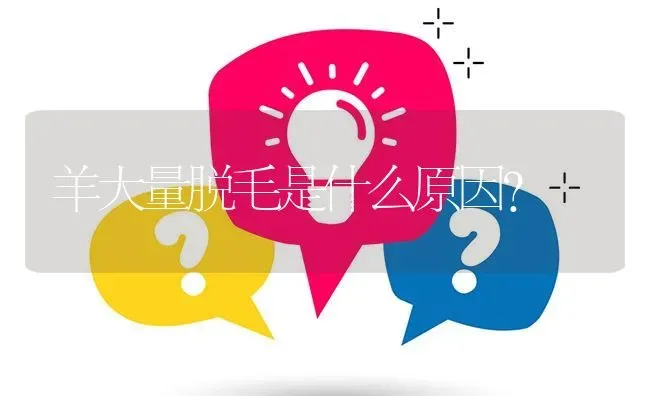 羊大量脱毛是什么原因? | 养殖问题解答